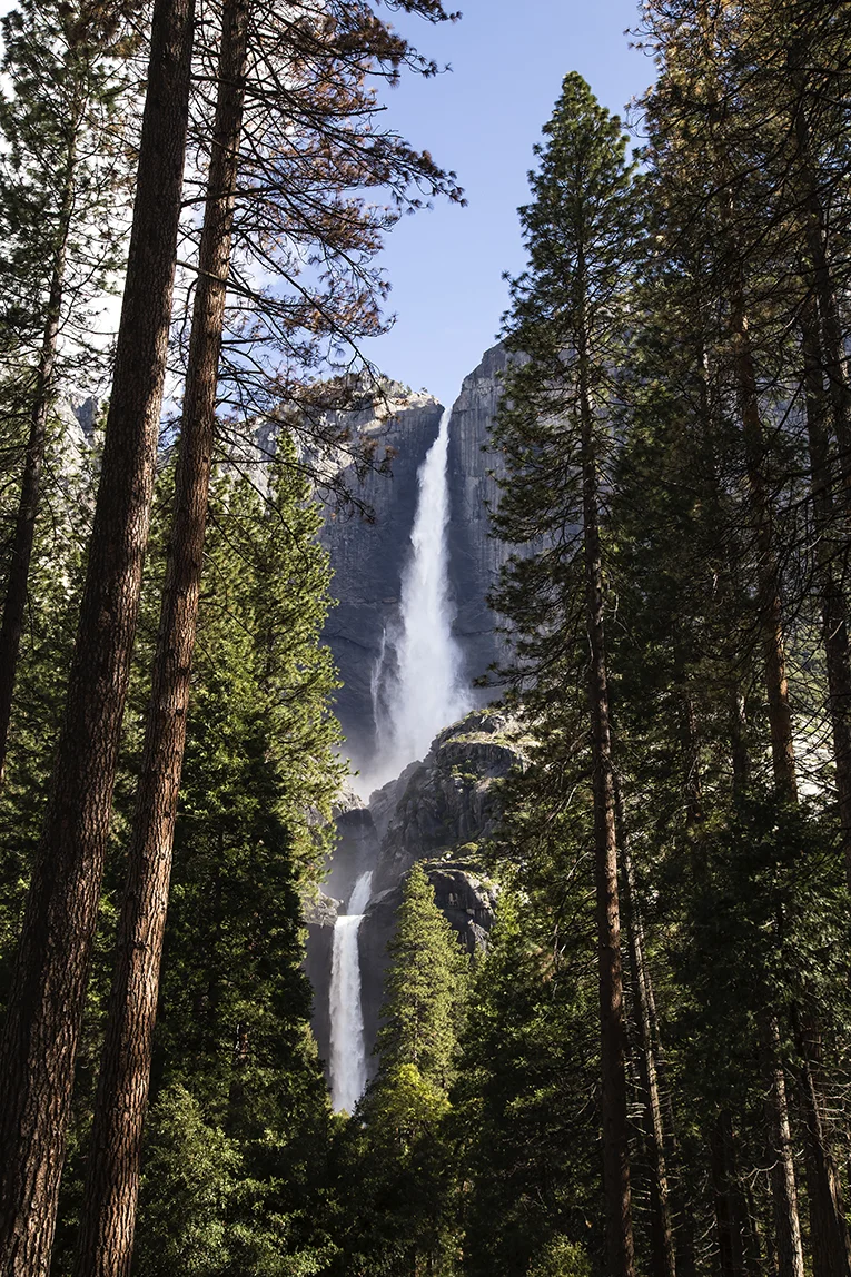 Yosemite Falls, What a Site!