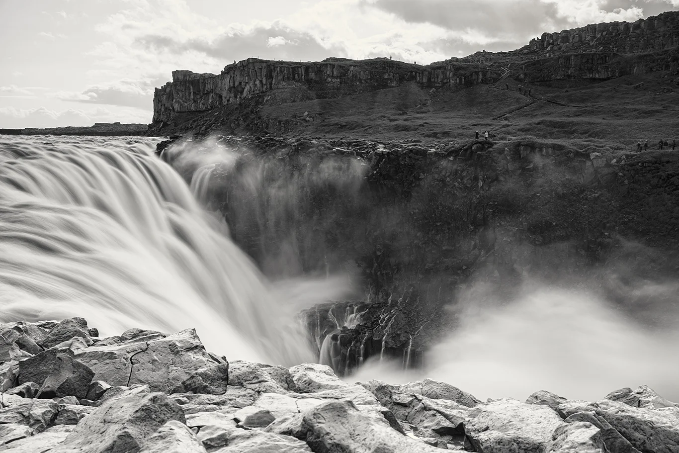 _MG_5272d-TP-B&W.jpg