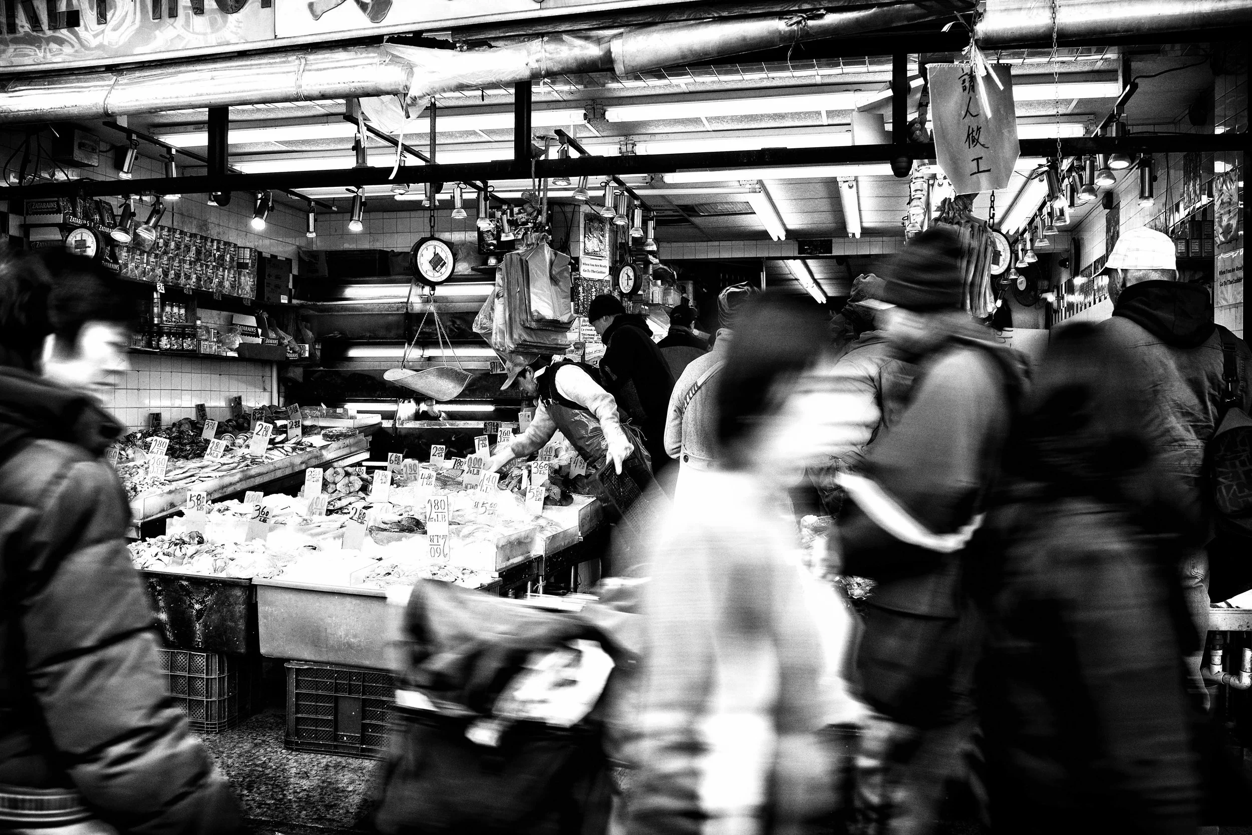 _DSC3548_web.jpg
