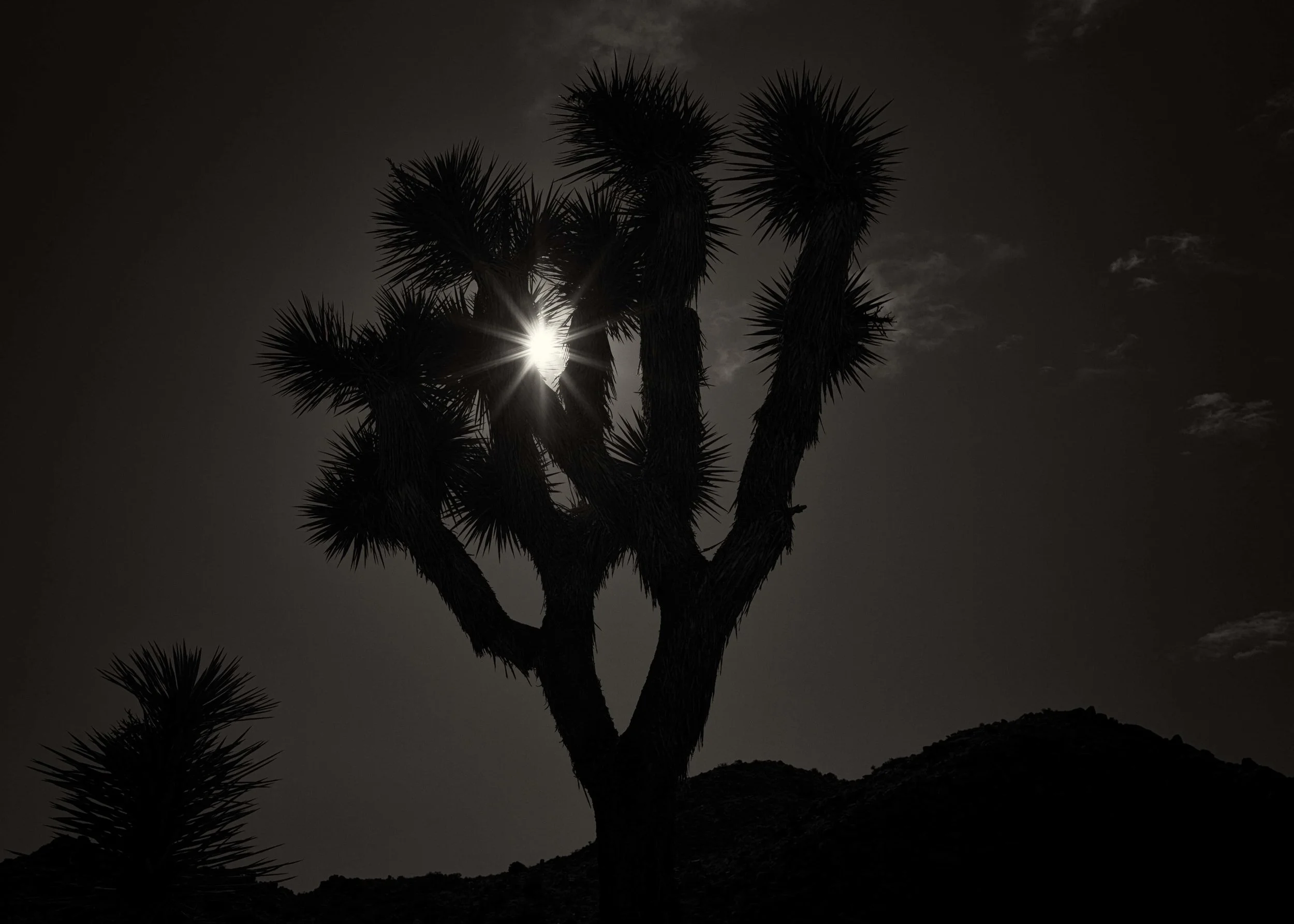 L1007235-Edit.jpg