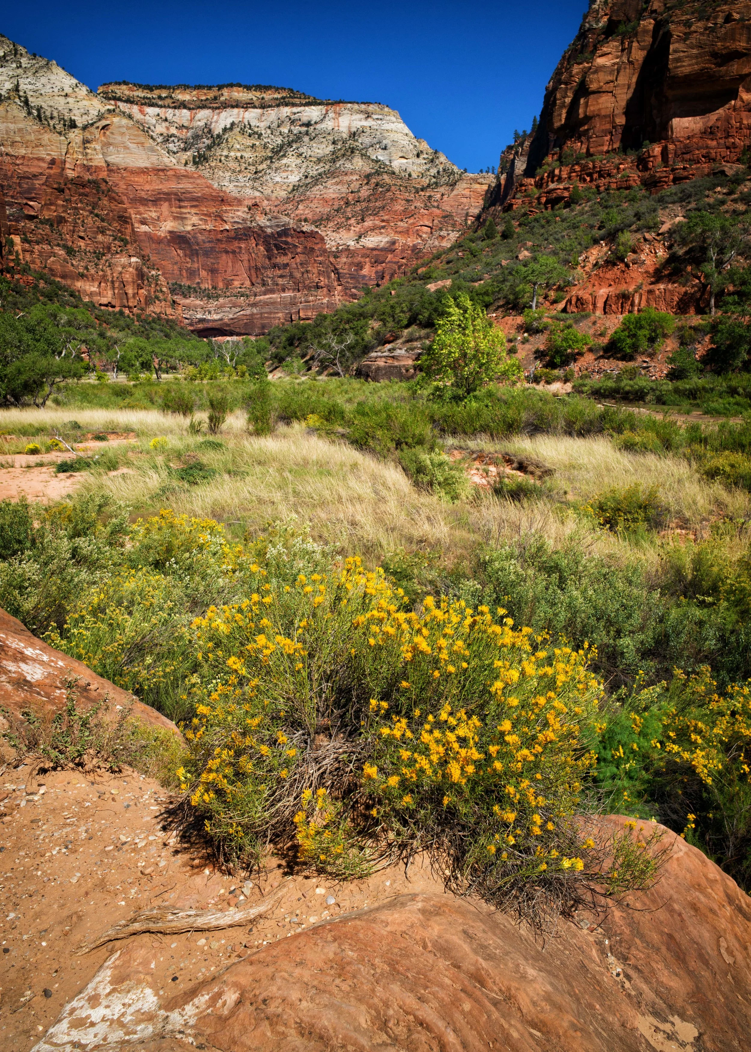L1007908-Edit.jpg