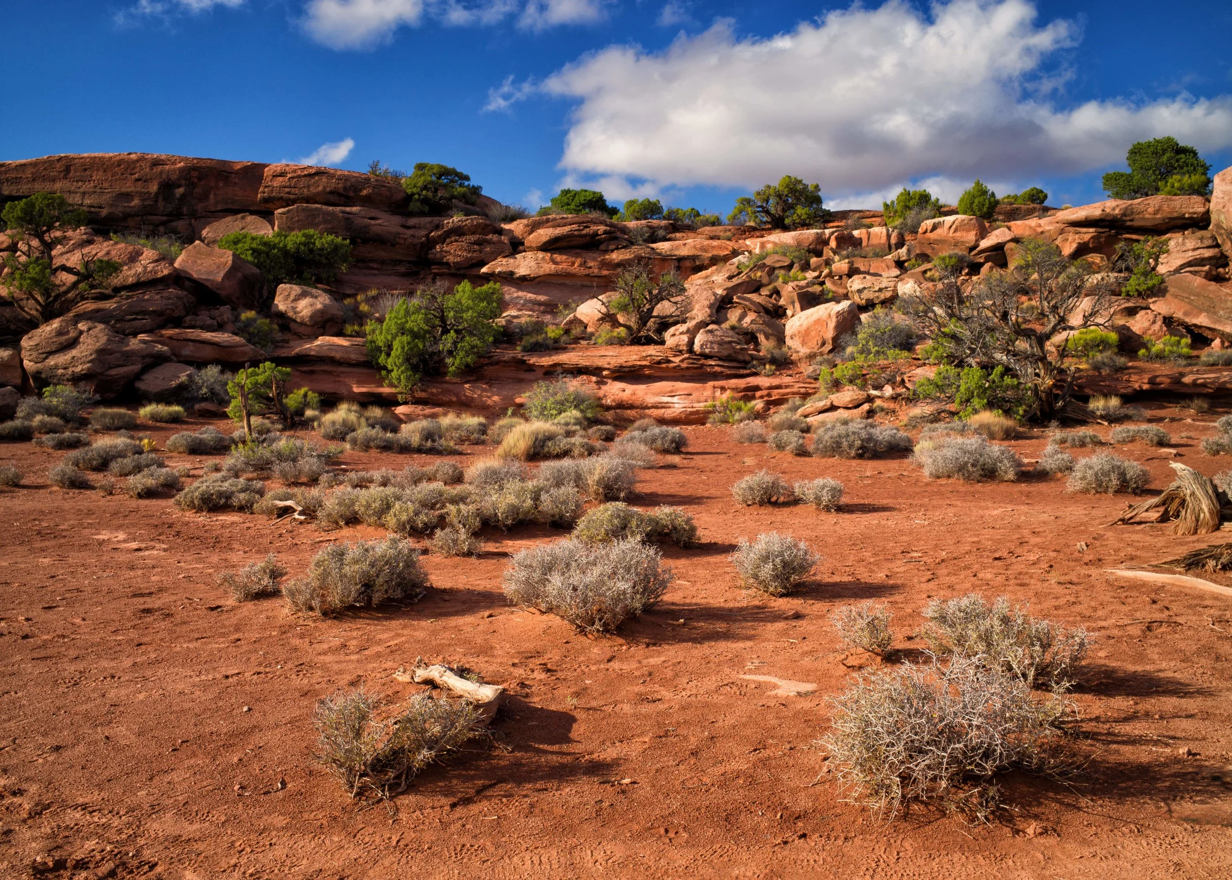 L1008552-Edit.jpg