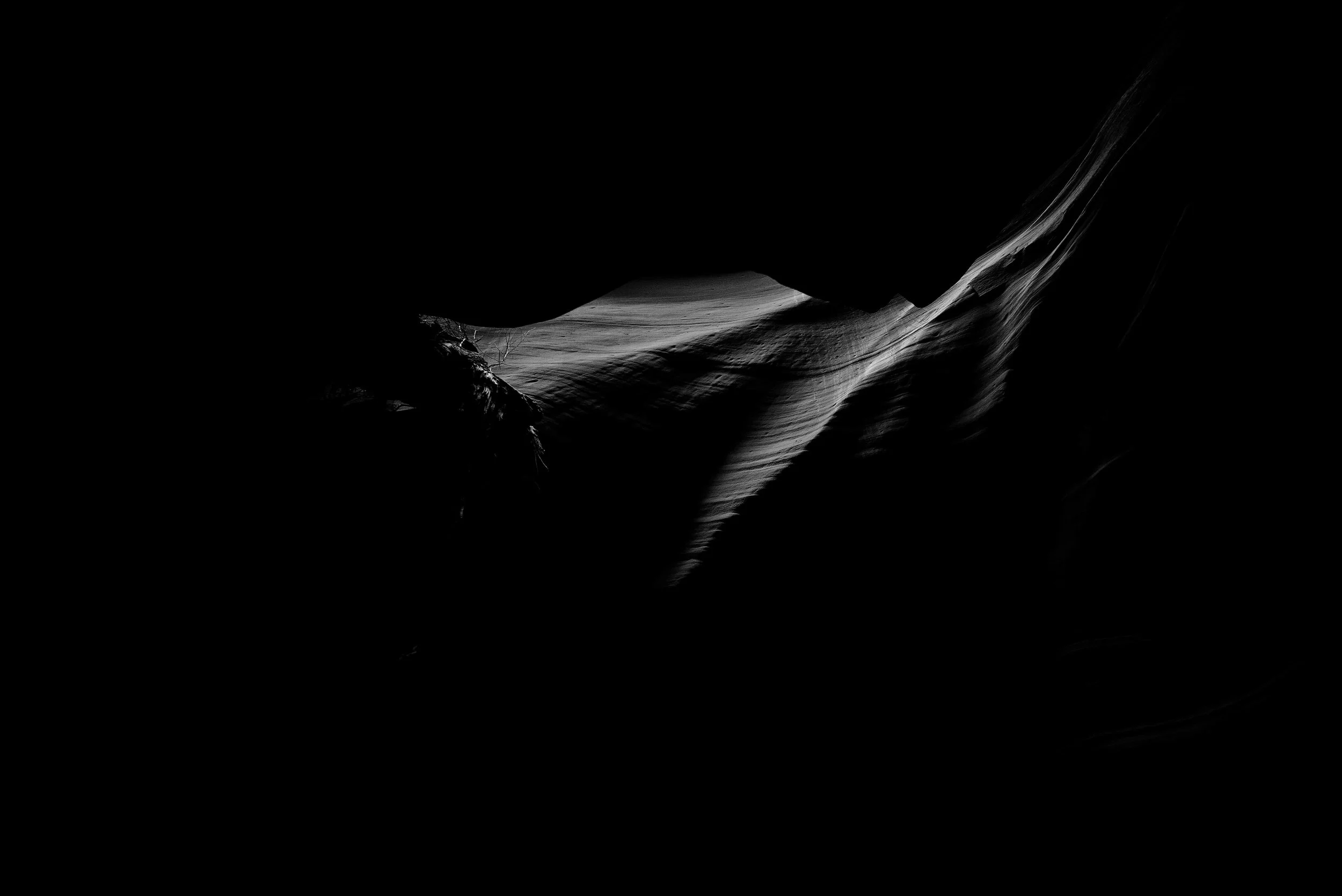 L1008138-Edit.jpg