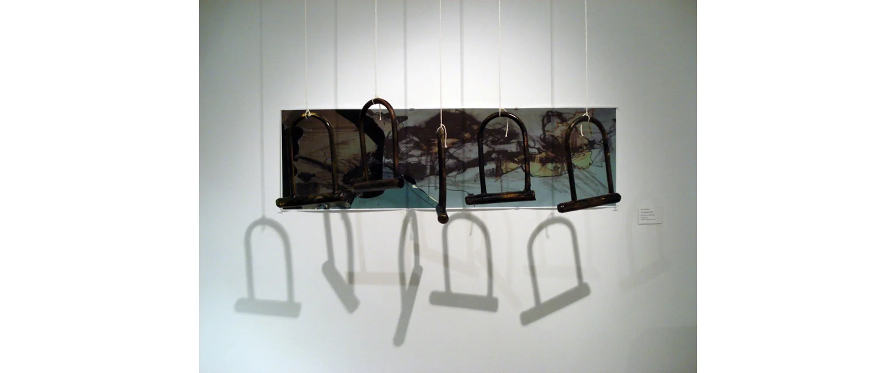 Bike Locks