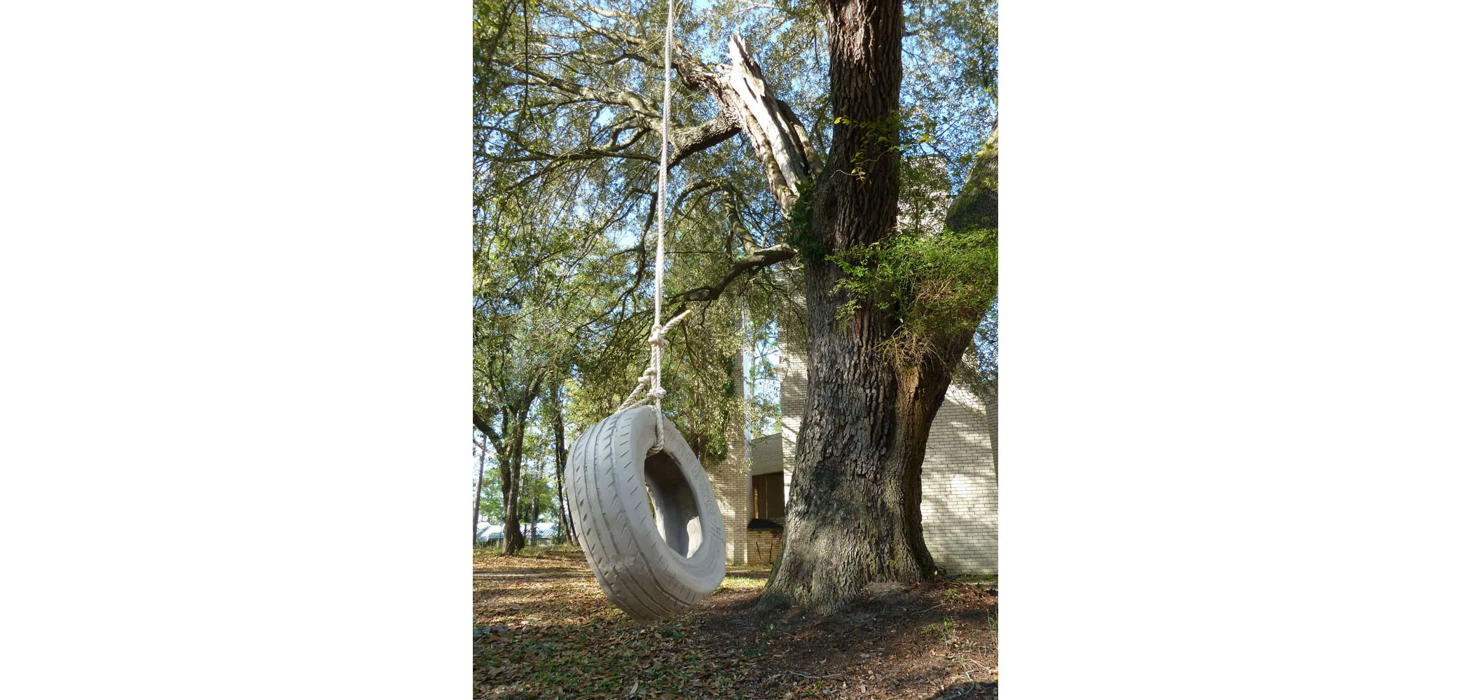 Tire Swing (detail)
