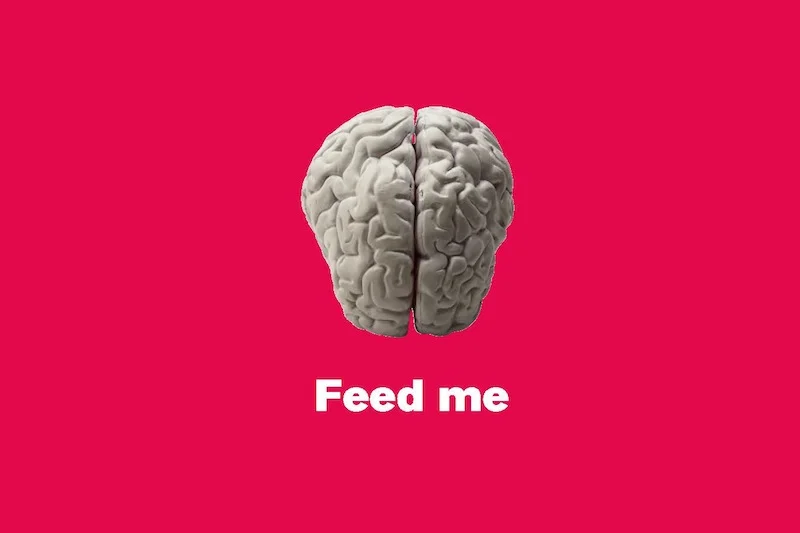 First in a three-drop campaign. Copy on reverse says: Feed your brain with email updates from UnitedHealthcare and get an instant selling advantage. Our main method of communicating with our brokers is email. Please provide us with your email address, and we'll keep you informed of all of our latest product, rate, and service information. To stay informed, simply: 1. Send an email to enews@unitehealthcarenortheast.com or 2. Send us the reply card at right."