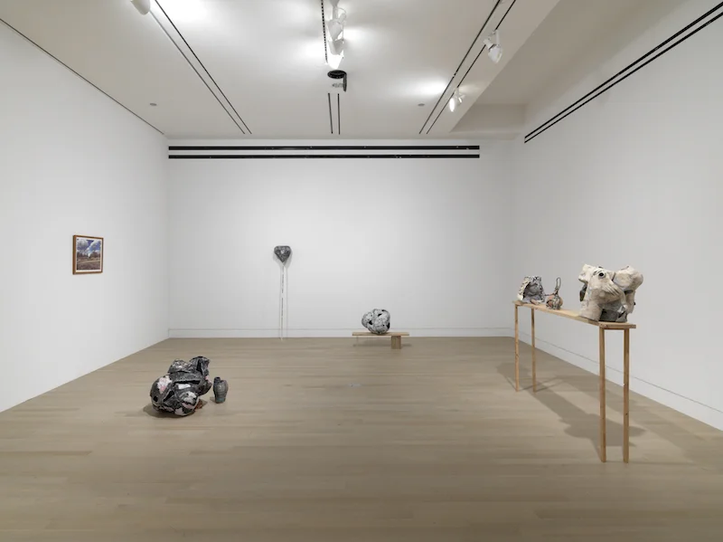 Resonant Objects, Logan Center Exhibitions, University of Chicago, 2016 (photo credit Tom Van Eynde) Catalogue