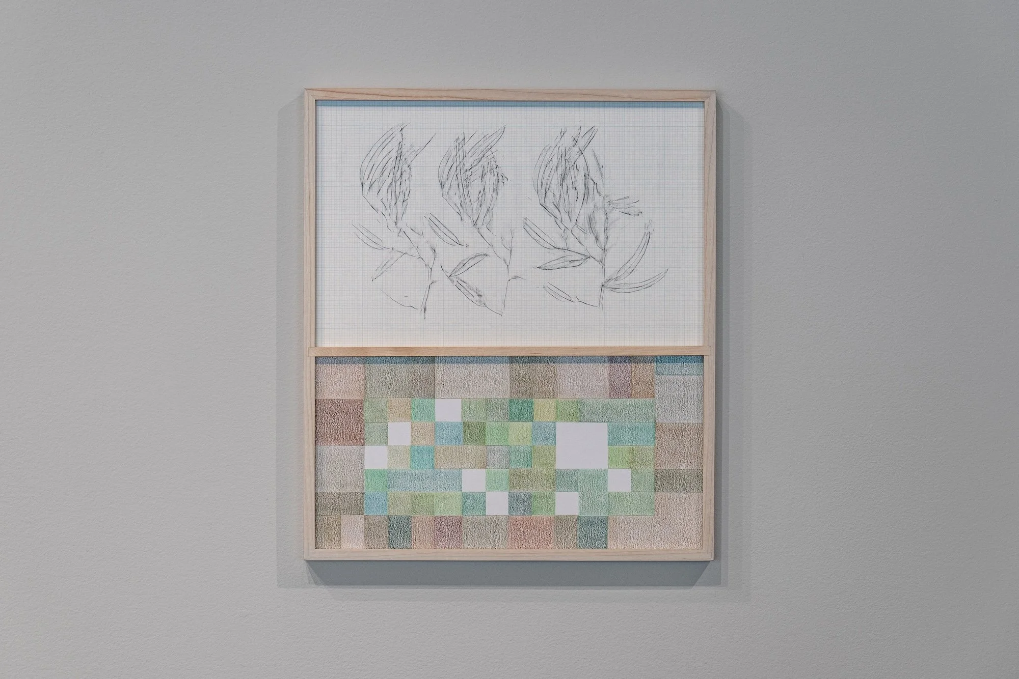 Counter-Landscape (Order Disorder), 2022, colored pencil on paper, archival pigment print on watercolor paper with custom-made bleached walnut wood frame, 20 x 18 inches
