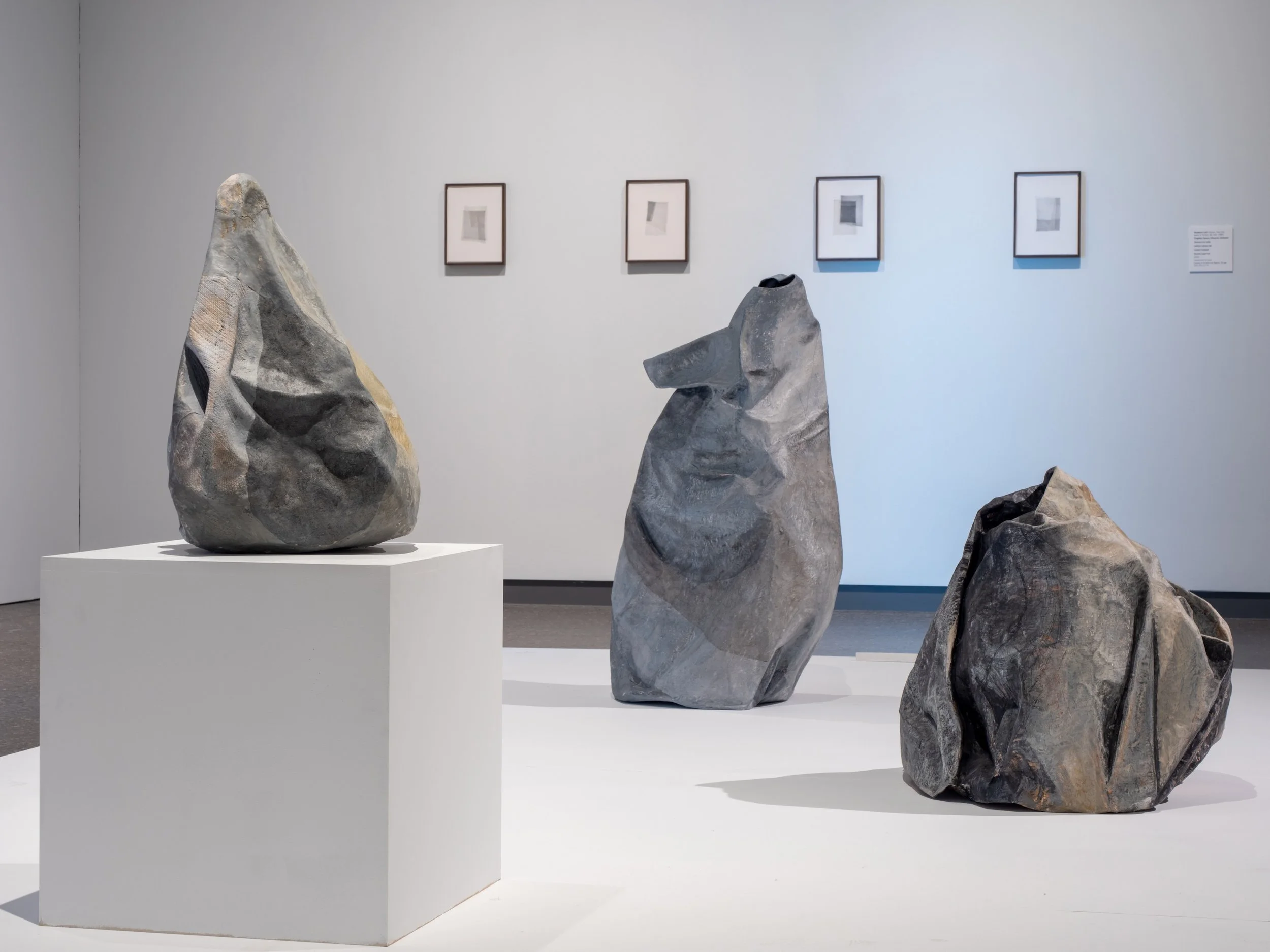 Phoenix Art Museum, 2021