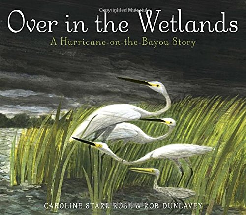 overinthewetlands.jpg