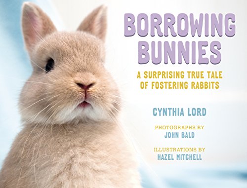 borrowing bunnies.jpg