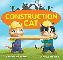 constructioncat.jpg