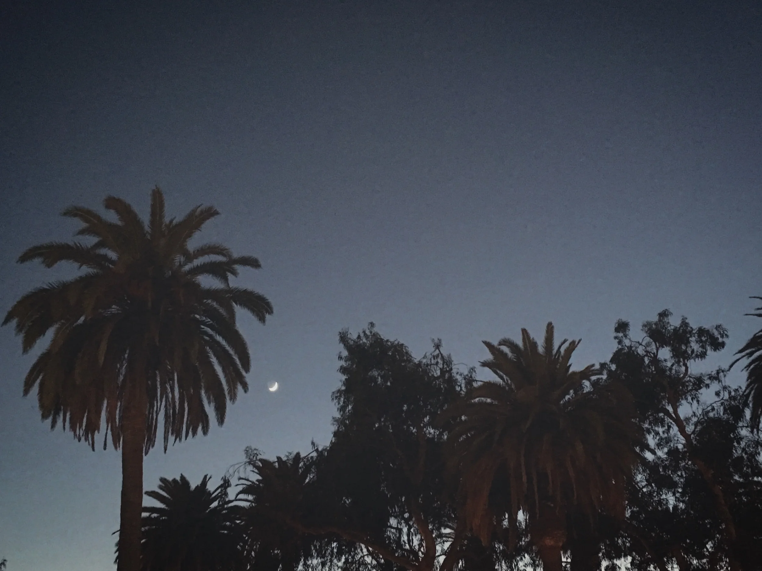 Santa Monica Nights...