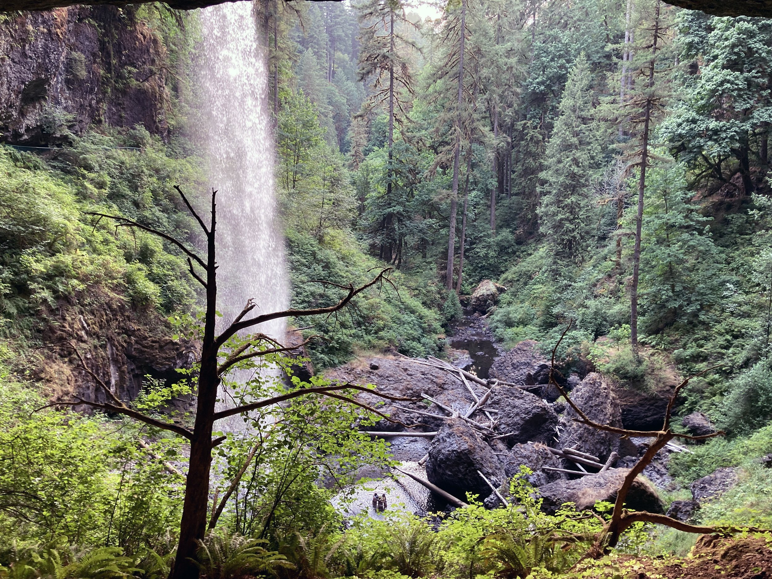 Waterfalls - Silver Falls Park (corrected).jpg