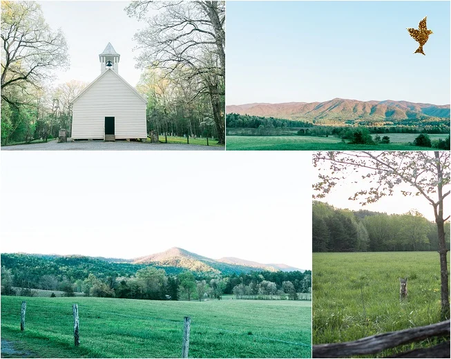 Cades Cove, within the Smoky Mountain National Park. Oh hey, foxy <3