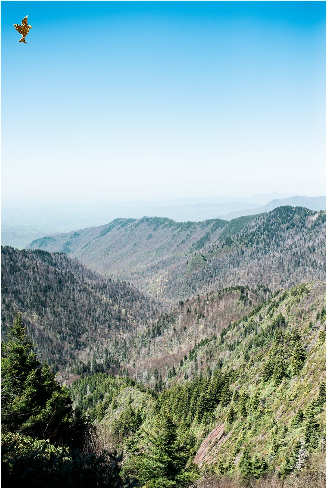 Looking out over Charlies Bunion