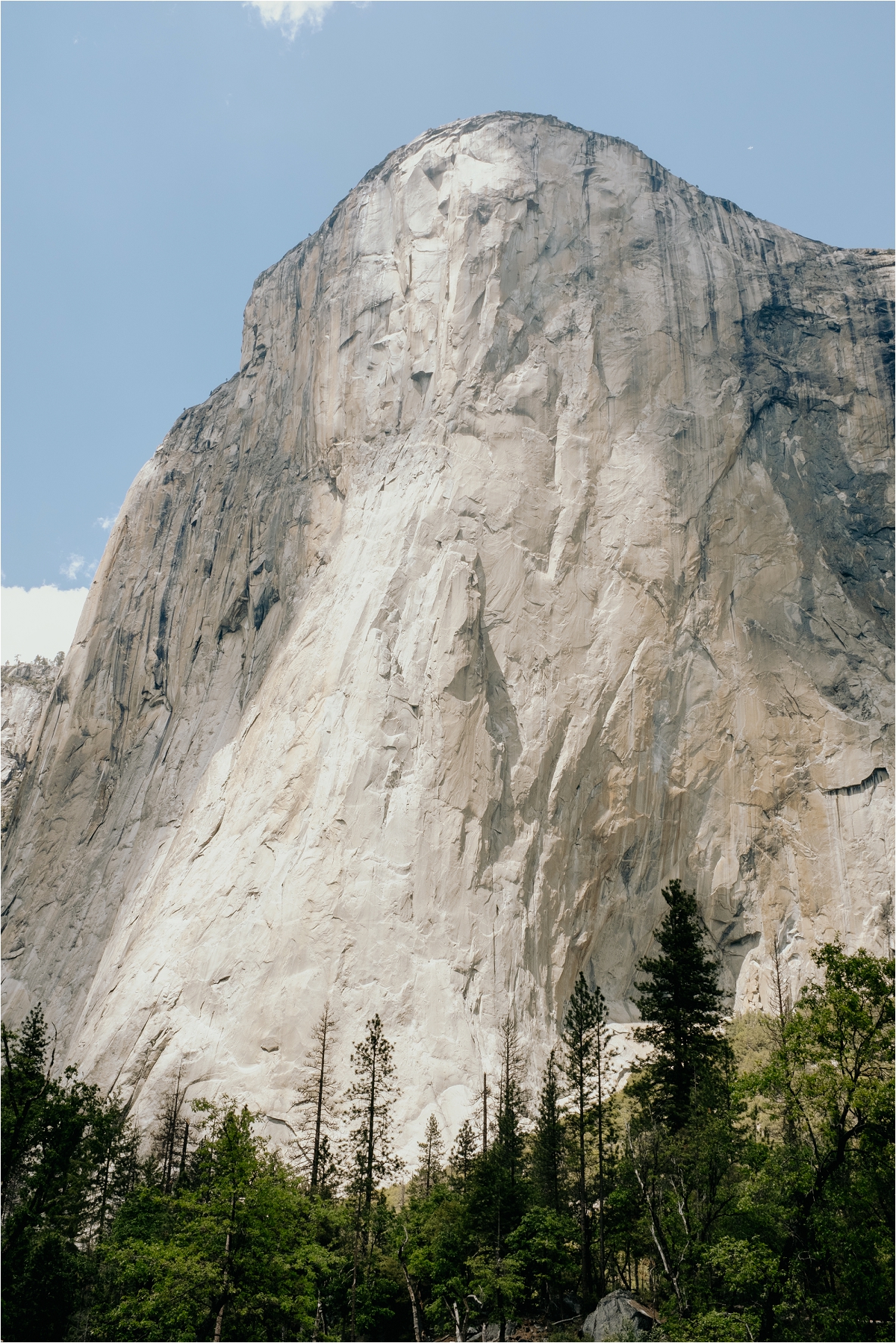 DSCF9335.jpg