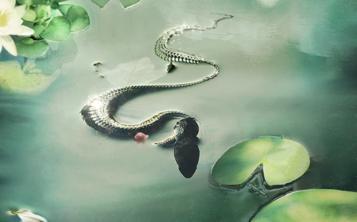 snake.jpg