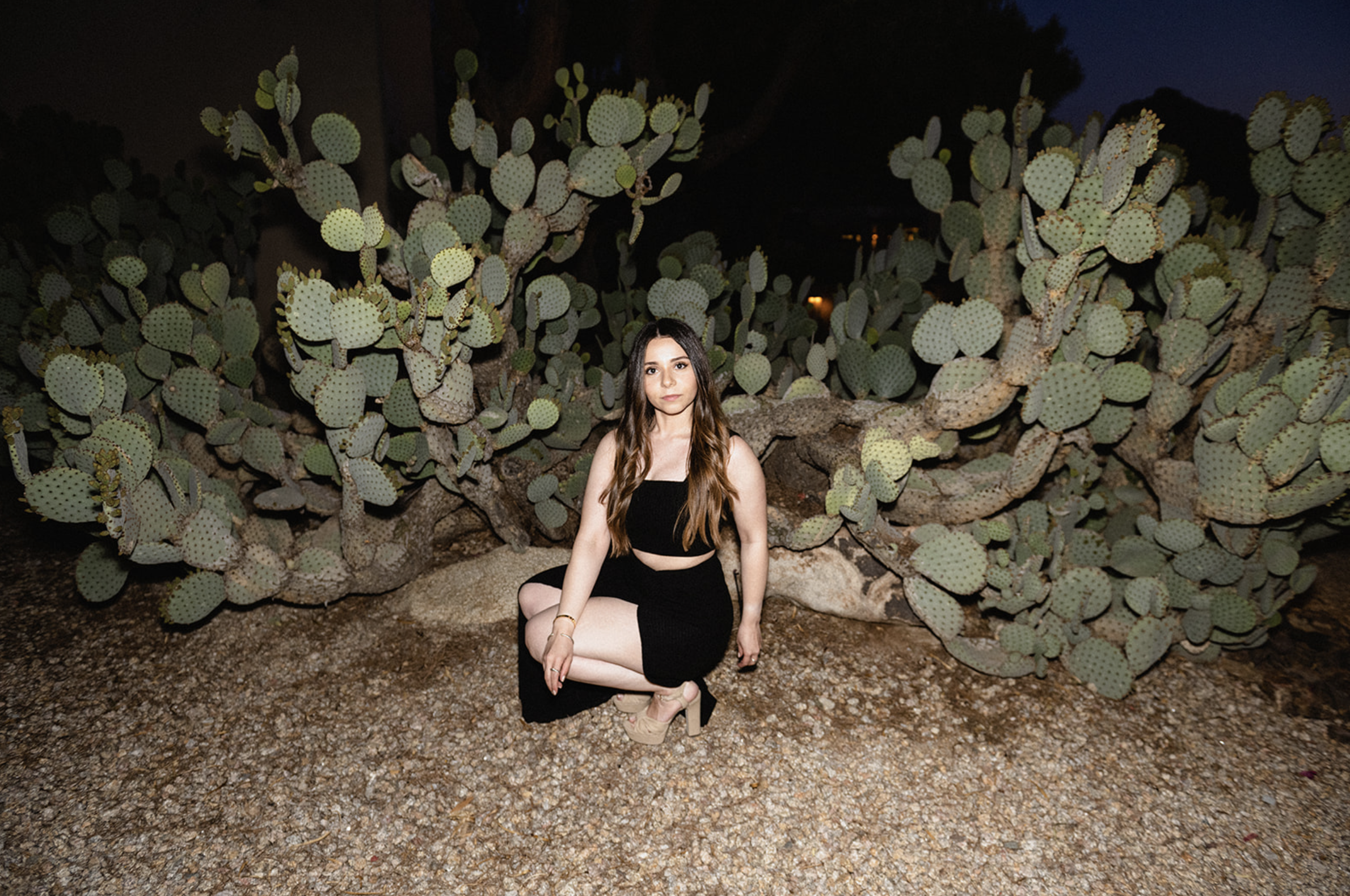 Screenshot 2026-02-02 at 12.43.10 AM.png