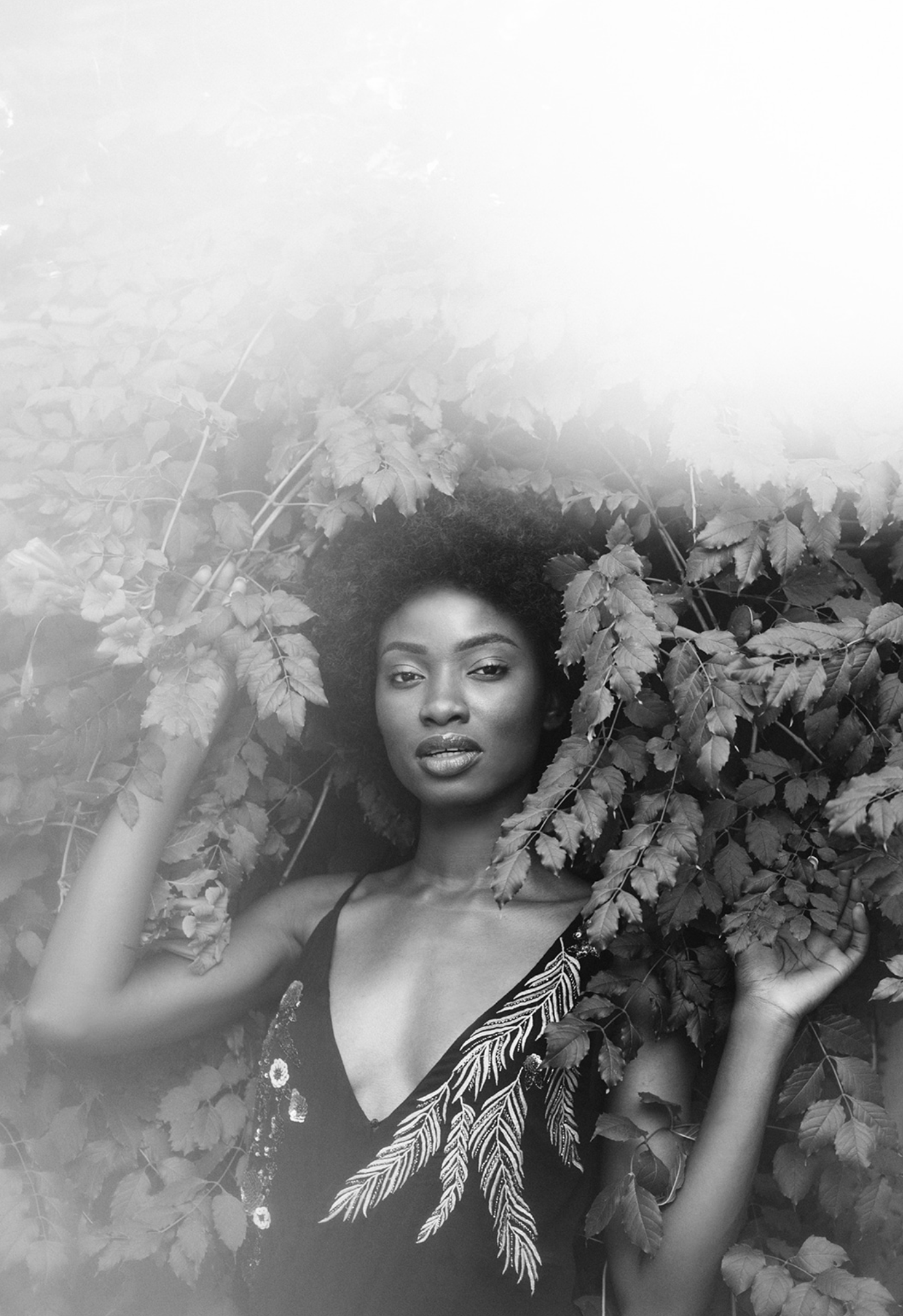 Screenshot 2026-02-01 at 11.59.08 PM.png