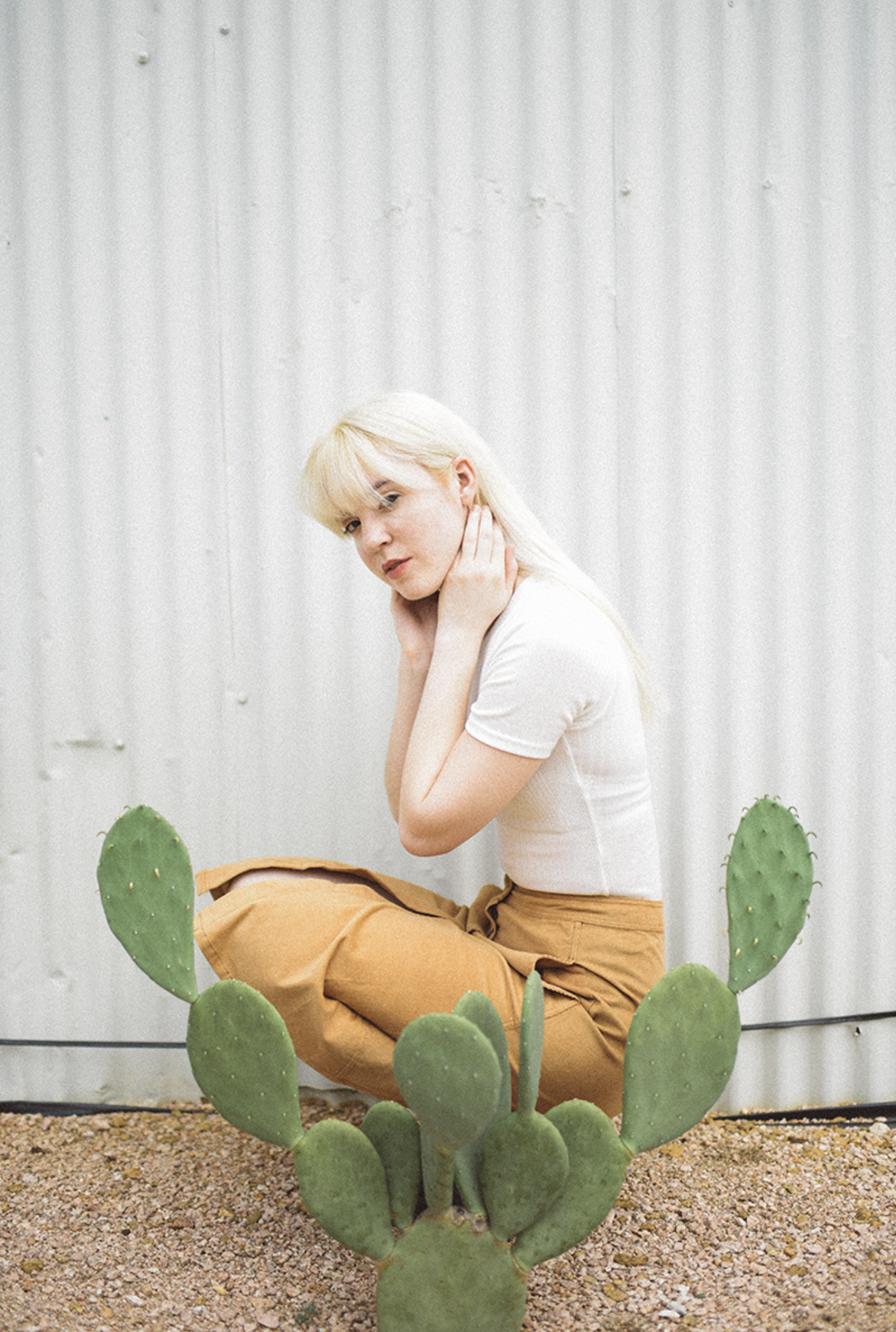 Screenshot 2026-02-01 at 11.41.55 PM.png