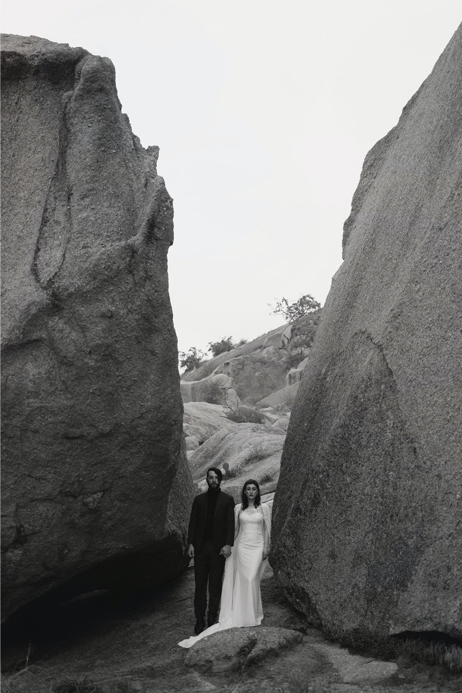 Screen Shot 2021-12-29 at 12.50.52 AM.png