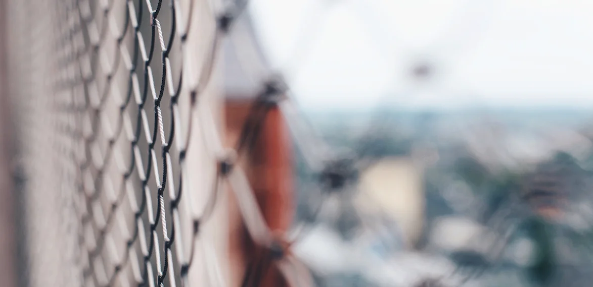 wire fence.jpg