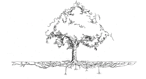 TreeRoots.gif