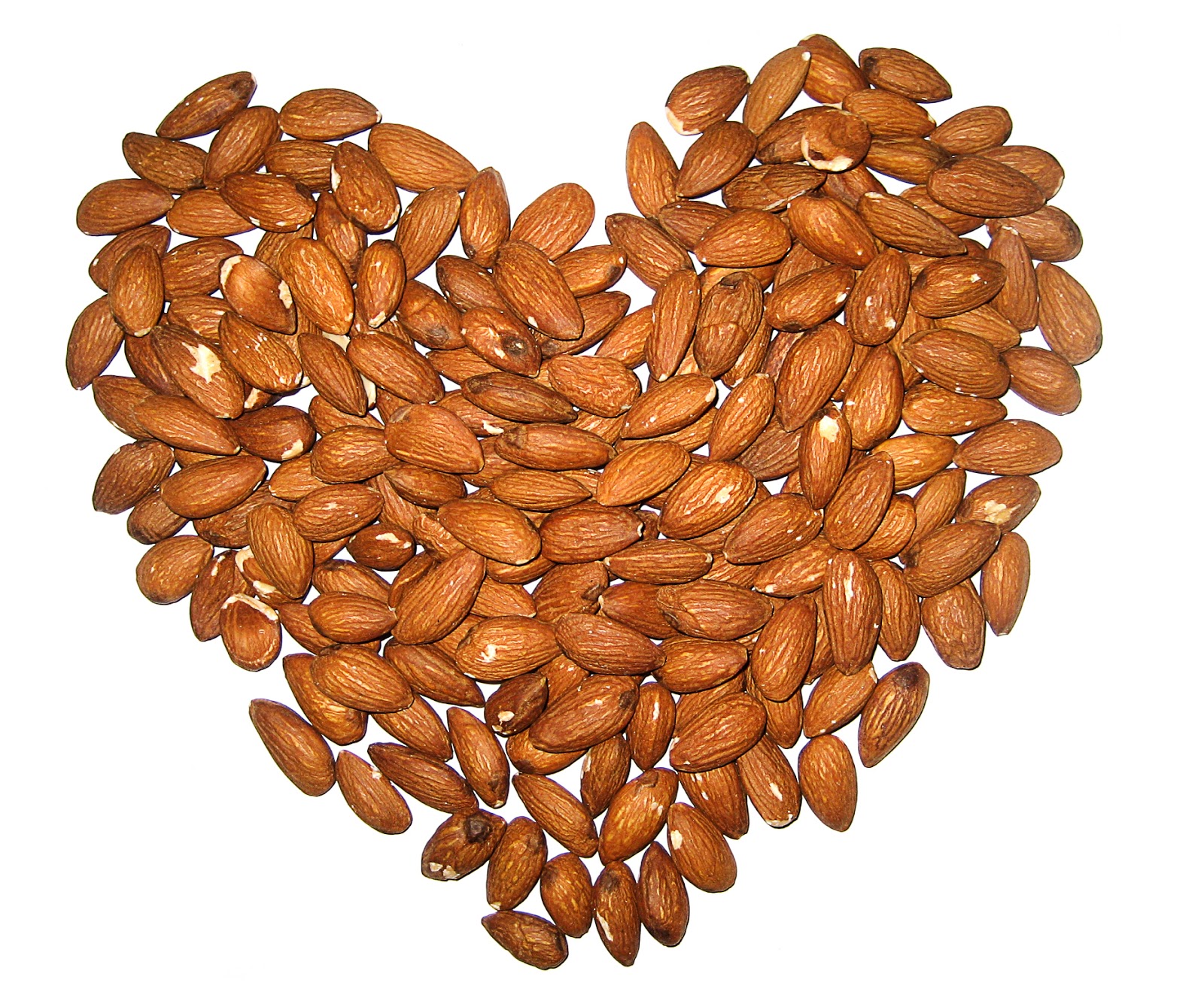 The Importance of Protein, Dallas Nutritional Counseling, Registered Dietitian, Casey Voorhies RD LD