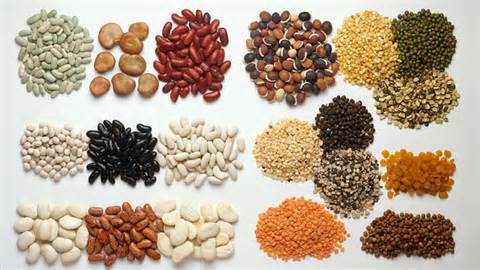 The Importance of Protein, Dallas Nutritional Counseling, Registered Dietitian, Casey Voorhies RD LD
