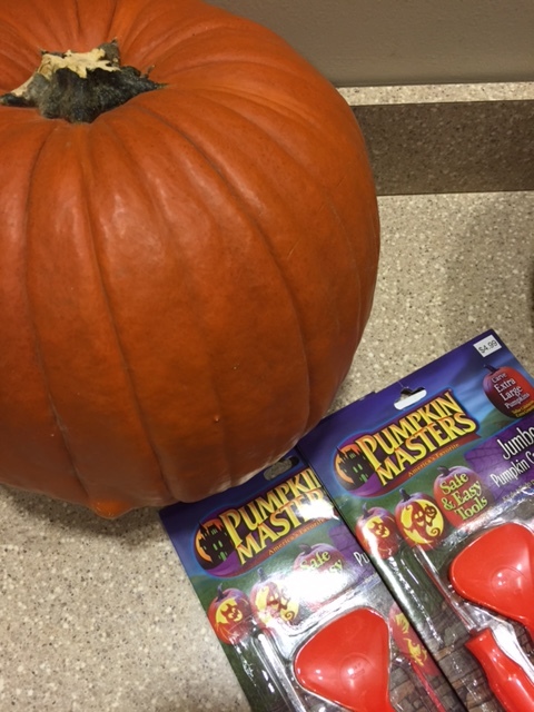 Roasted Pumpkin Seed Recipe, Dallas Nutritional Counseling, Casey Voorhies RD, LD, Registered Dietitian