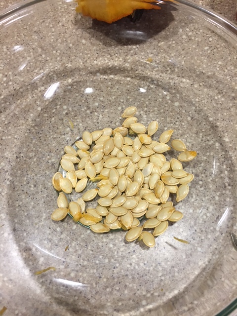 Roasted Pumpkin Seed Recipe, Dallas Nutritional Counseling, Casey Voorhies RD, LD, Registered Dietitian