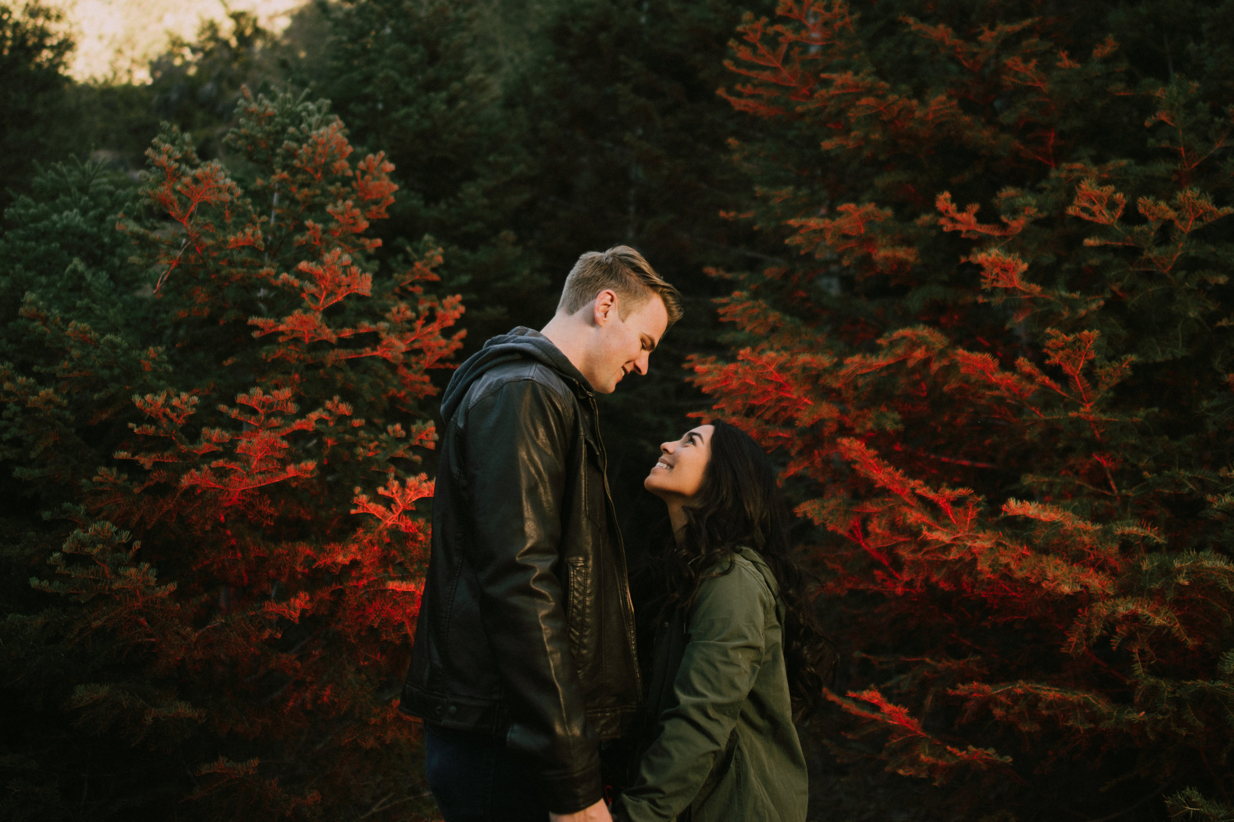 Kevin & Emily Engagment - Pine Mountain Club - Jake and Kim Photography-31.jpg