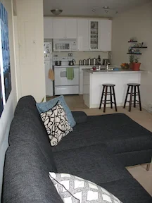 Our 500 square foot garage/treehouse apartment