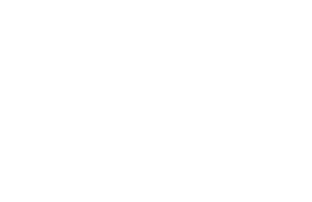 ICARUS WITCH