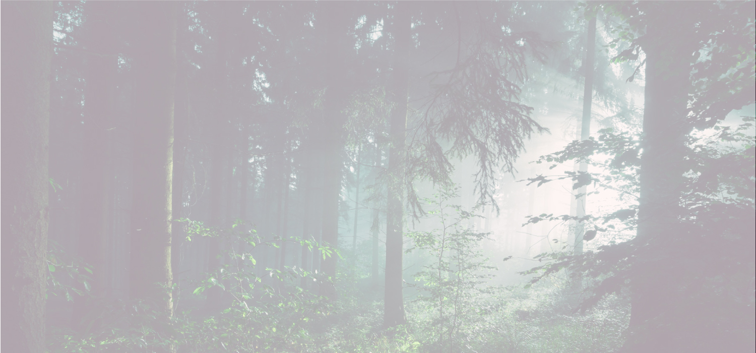 Elemental-Business-Incubator-Phase-2-Banner.jpg