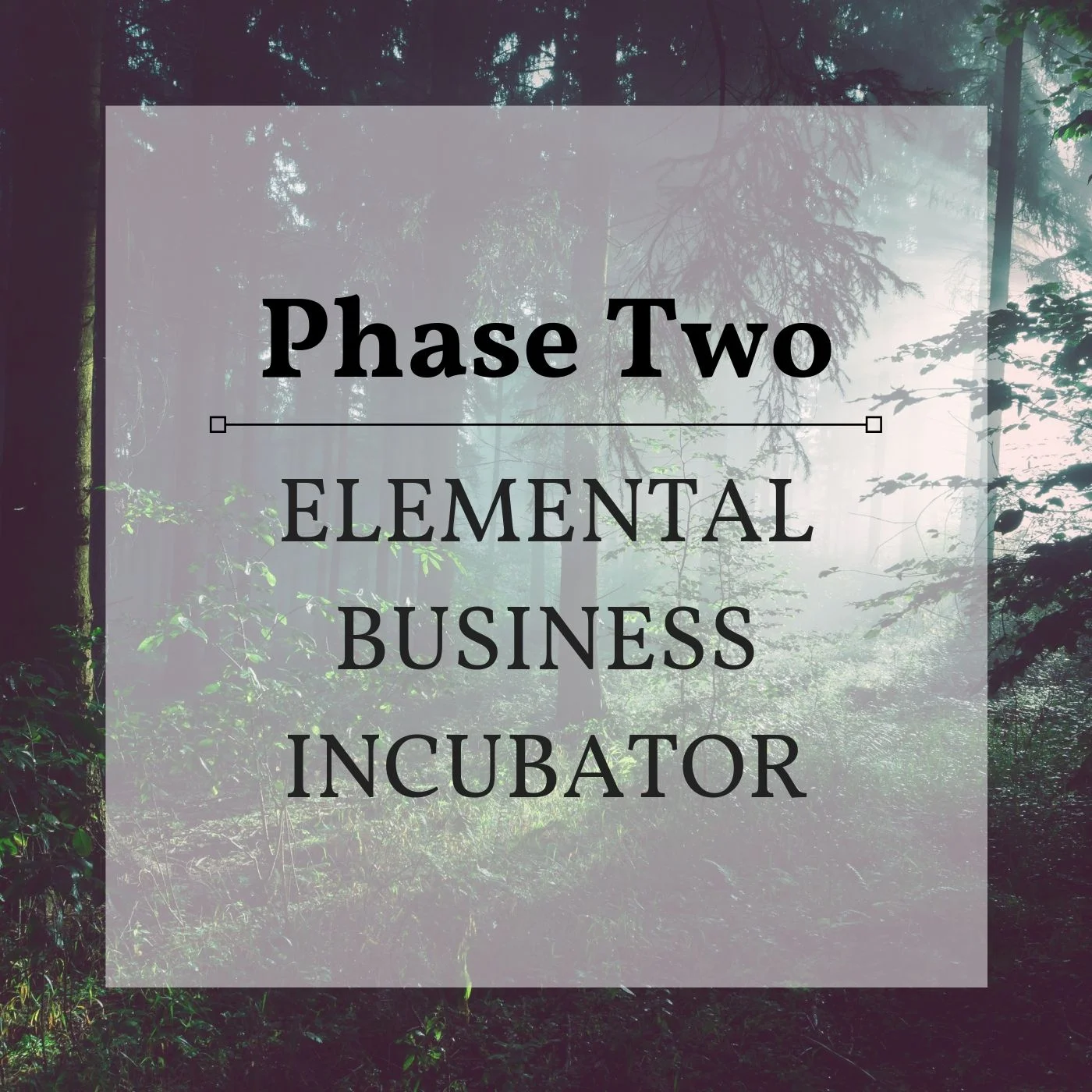 Elemental Business Incubator Phase 2 Graphic.jpg