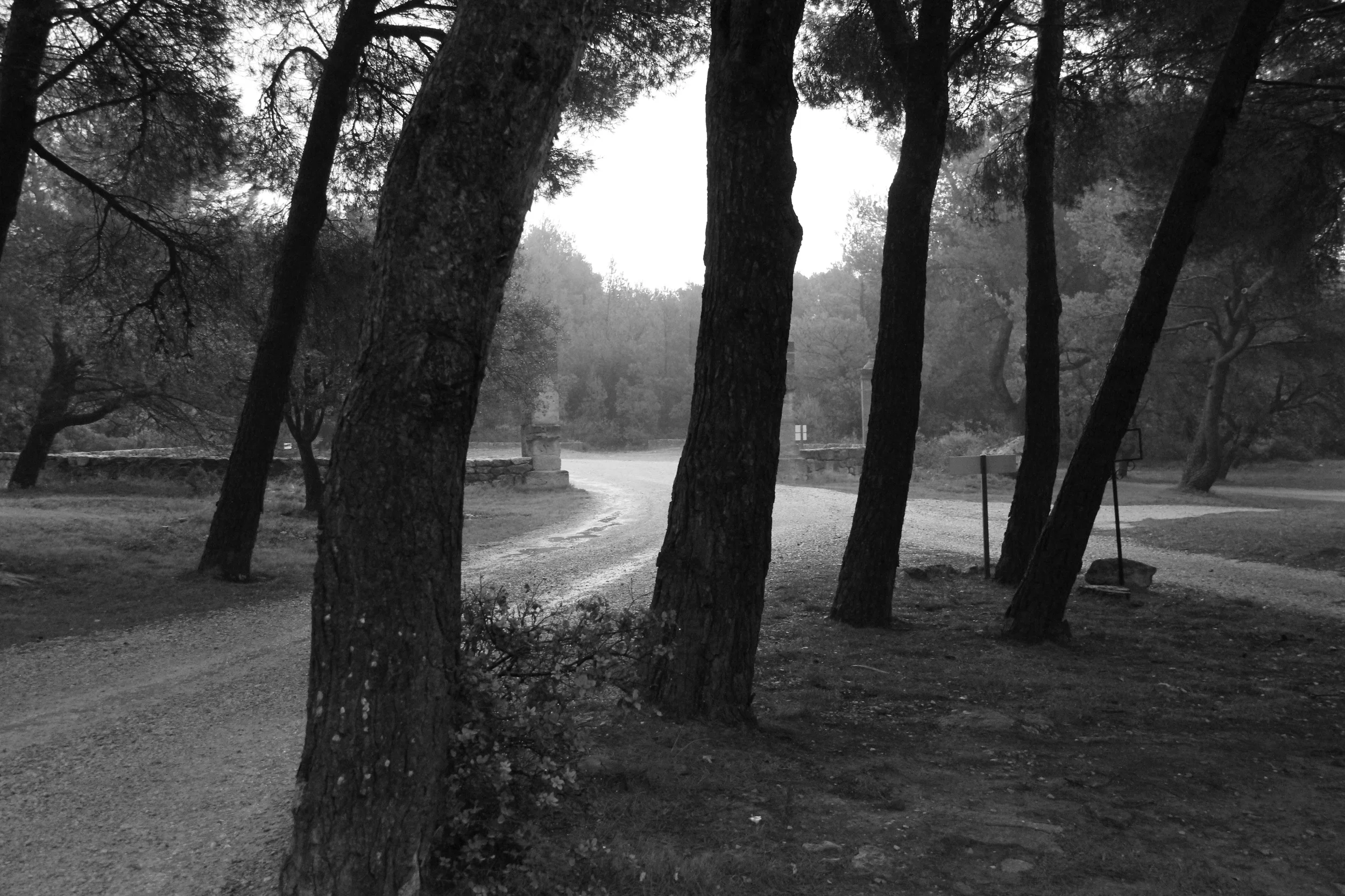 Presto! Change to black and white mode and suddenly the misty weather becomes as asset
