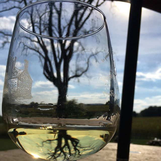 Cat in the hat? No. Tree in a glass! #winetasting #reflections #loveva