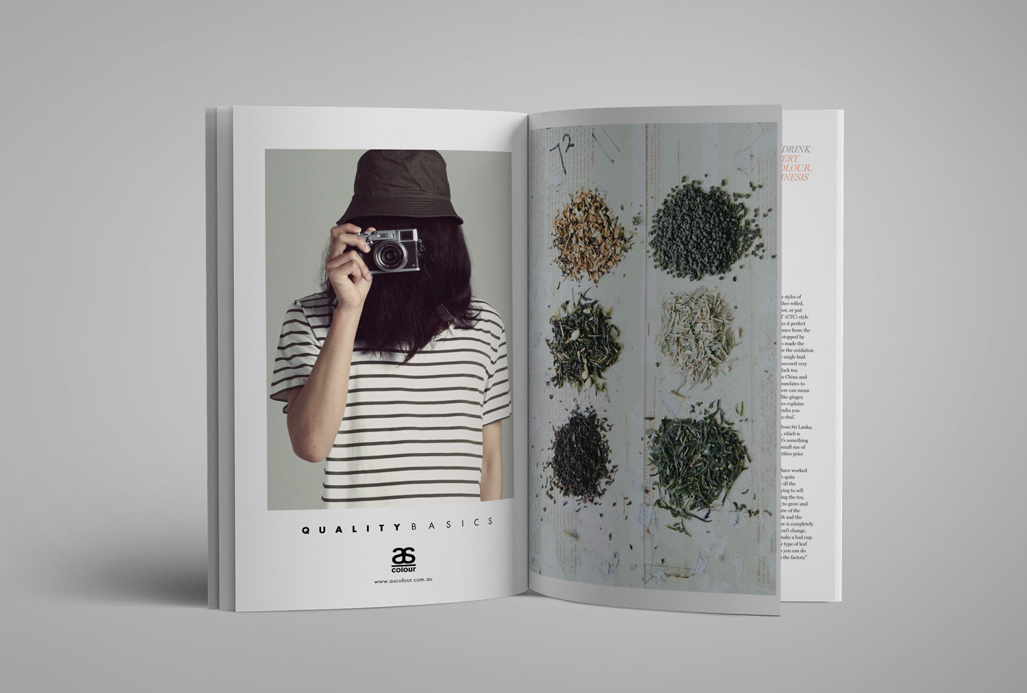 ASC_2013.Campaign.Spread.jpg