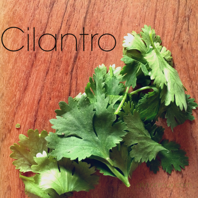 Fun fact: Cilantro is an example of fresh herb, coming from the leaves of the cilantro plant. The seeds, however, are the sweet and spicy coriander spice, and can be used whole in soothing teas, to flavor pickles, or alternatively can be used ground in baking and curries.