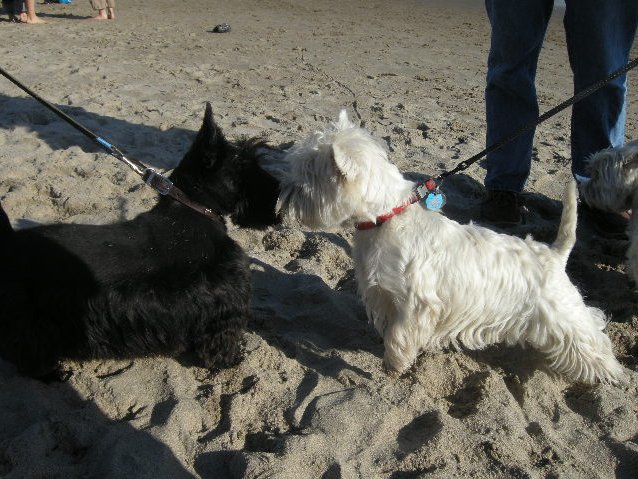 Paisley made a new friend.