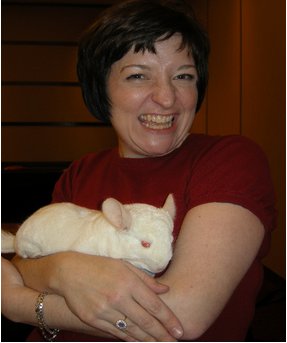 Willy. The Chinchilla. Who is in the running for most interesting thing brought to one of my classes.