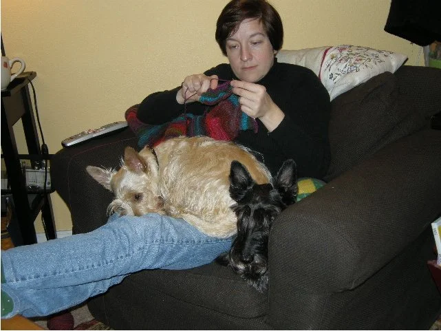 Paisley Knitting.jpg
