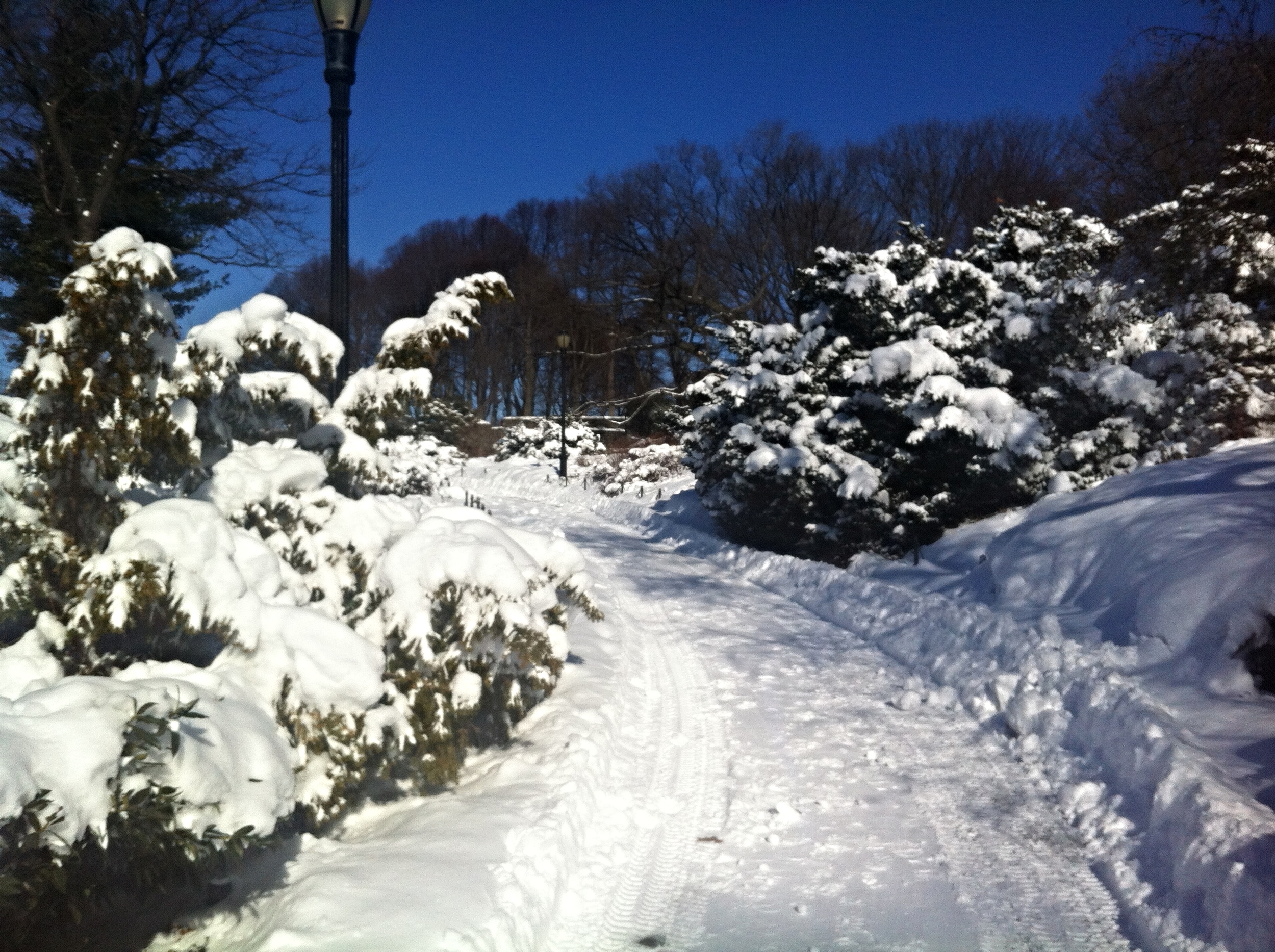 My morning walk in Fort Tryon