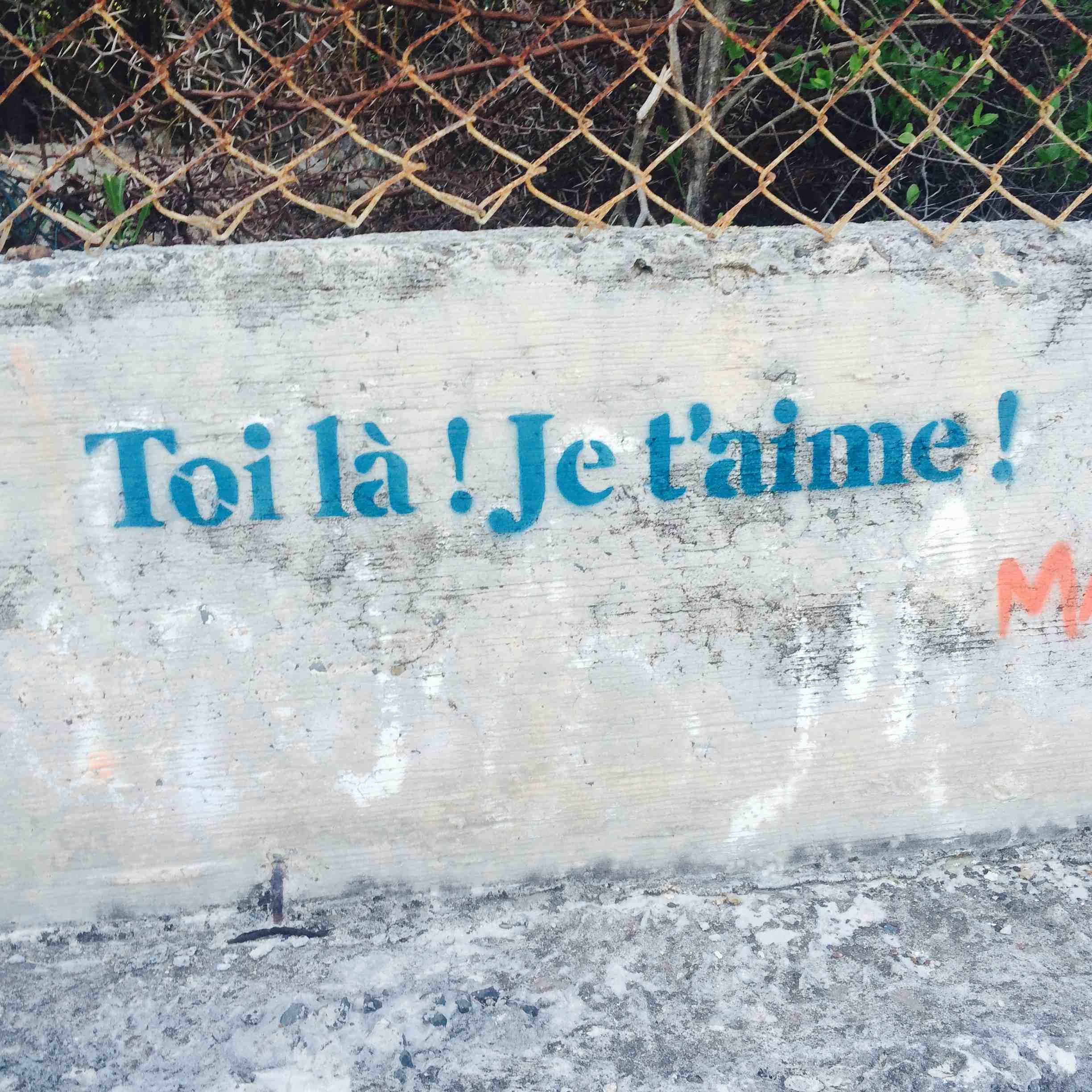 Toi La.jpg