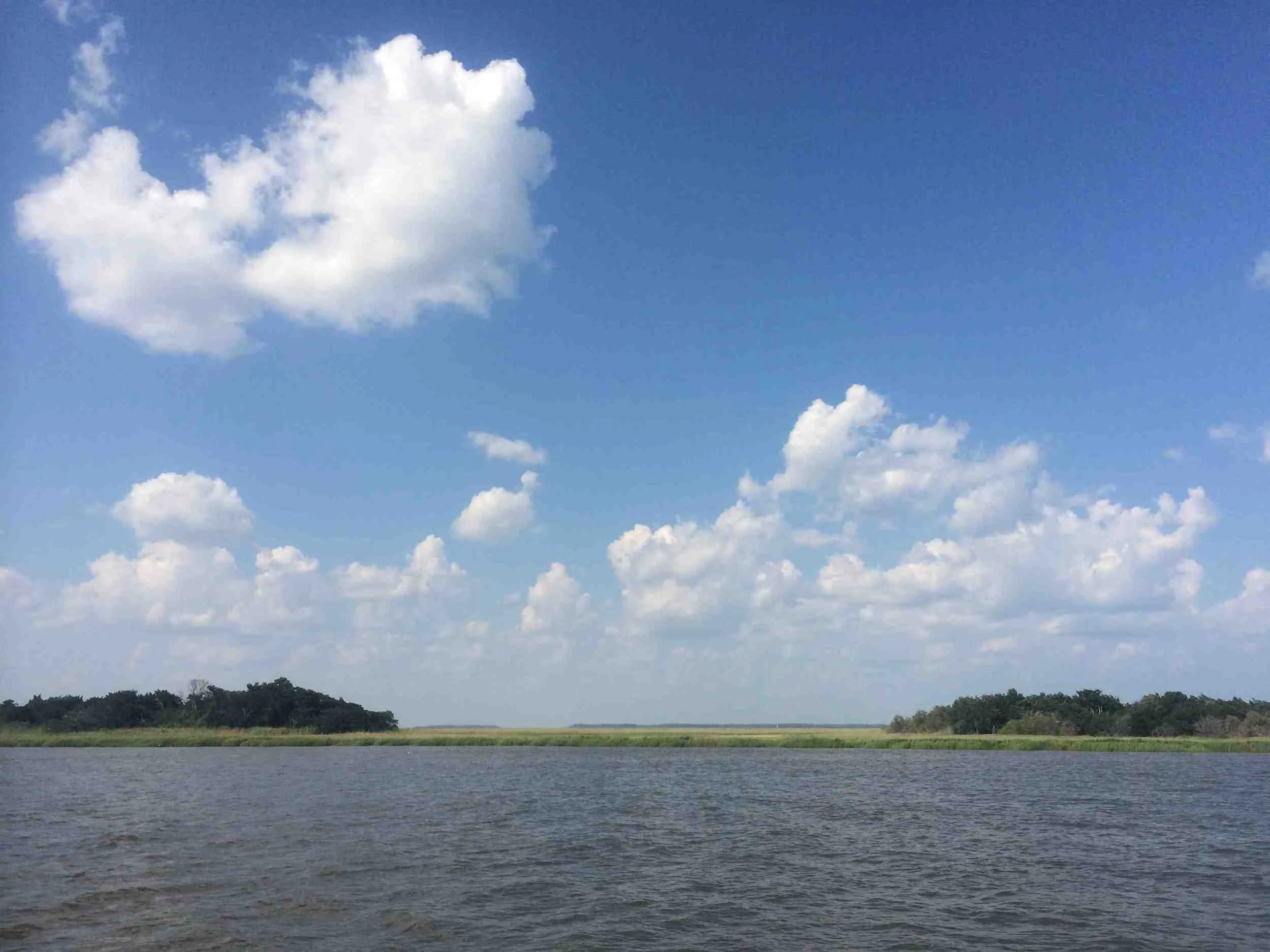  The pristine Low Country of Georgia and South Carolina 
