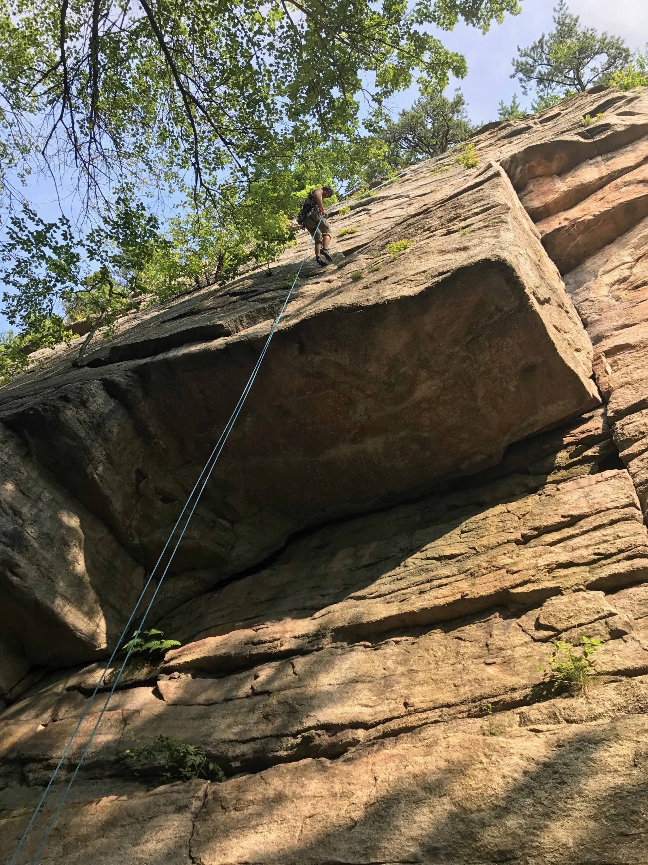 It's Important to Fall