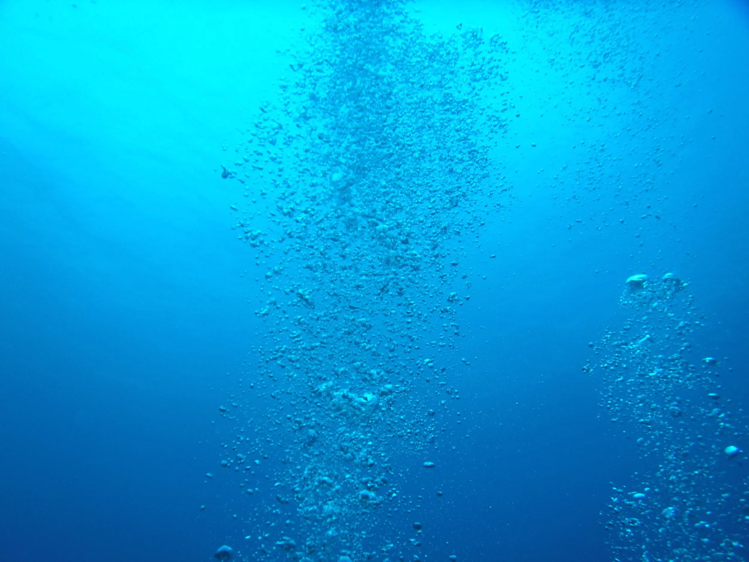 S0010230.jpg