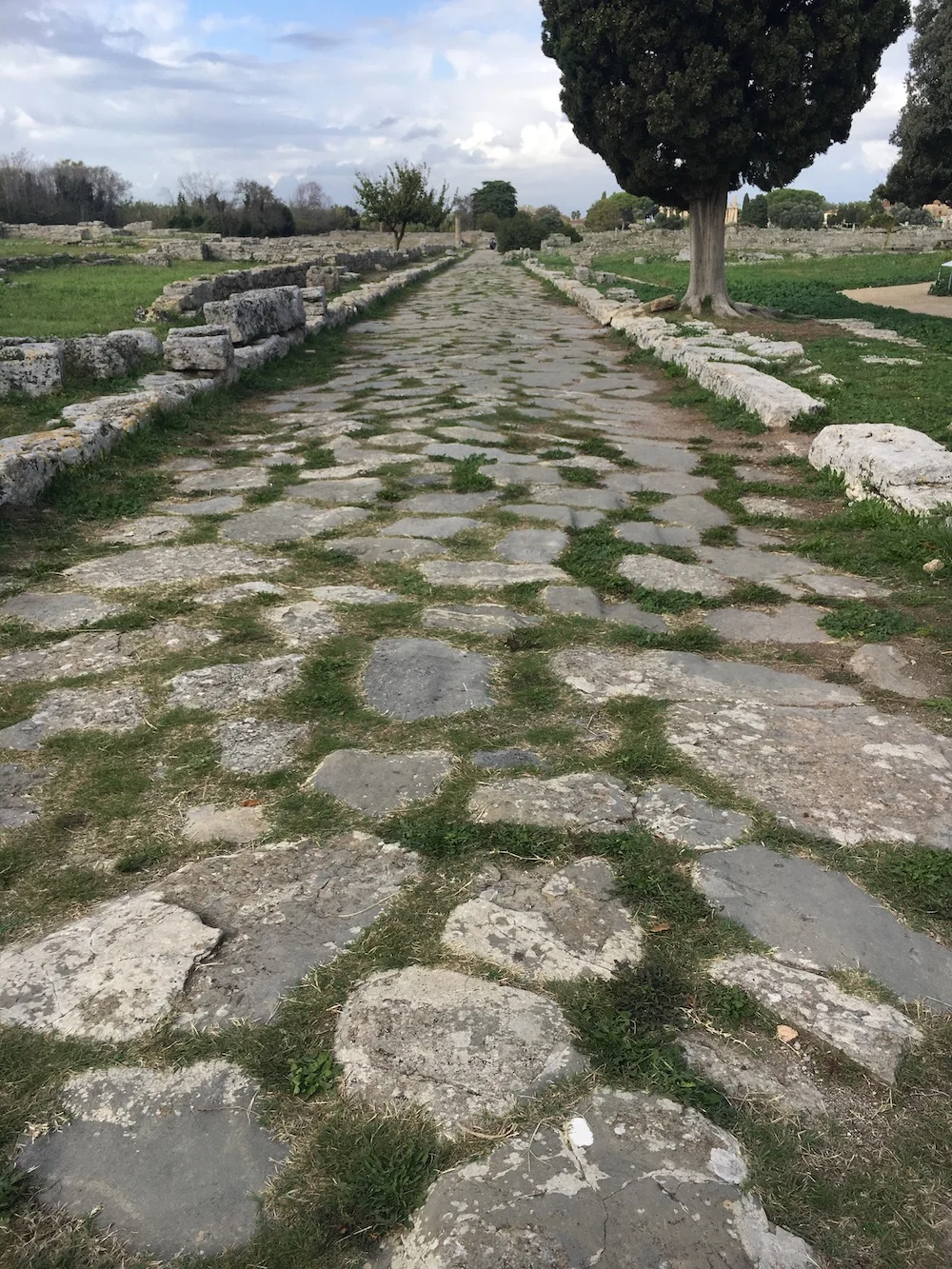 6Paestum Path.jpg